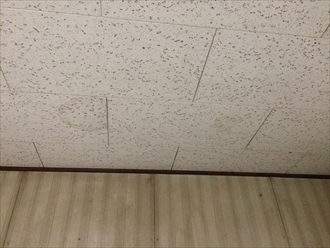 雨漏り地点②