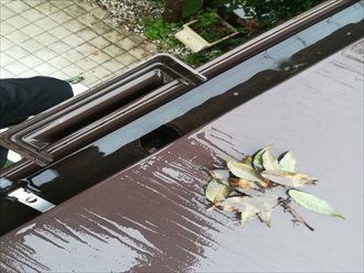 横浜市港北区｜雨樋の詰まりは落ち葉が原因か