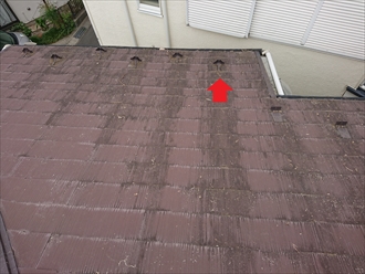 赤い矢印が示す真下が先ほどの室内のお部屋となります。屋根も築年数なりに傷みが進んでおり、雨水を吸い込んでしまっているスレート屋根が黒く変色してはっ水効果がほぼなくなっているのが分かります。