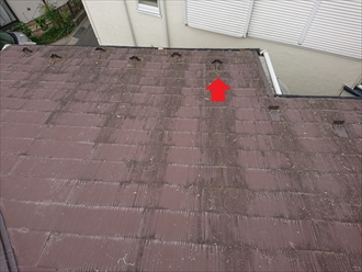 赤い矢印が示す真下が先ほどの室内のお部屋となります。屋根も築年数なりに傷みが進んでおり、雨水を吸い込んでしまっているスレート屋根が黒く変色してはっ水効果がほぼなくなっているのが分かります。