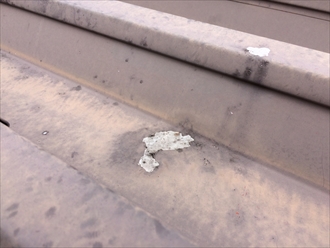 金属屋根の塗膜の剥がれは錆びの原因になる