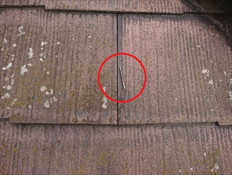 固定していた板金の釘が抜けて屋根の上に残っていました