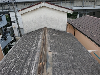 三階建て住宅の二階の屋根まではなんとか上がり、ここから三階の屋根によじ登りました