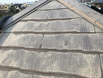 日の当たらない屋根面で見ると塗膜の劣化が分かりやすい