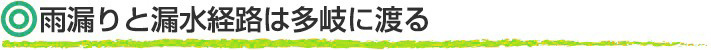 雨漏りと漏水経路は多岐に渡る