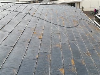 屋根材表面の状況
