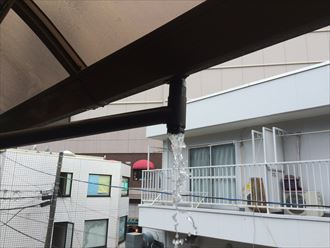 雨樋の清掃口を外すと一気に出てきました