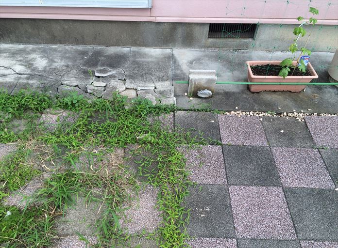 雨樋の水漏れが起こり続けた範囲だけお庭の状態が悪くなっている