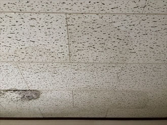 傷んだスレートの真下の天井に雨漏りの形跡