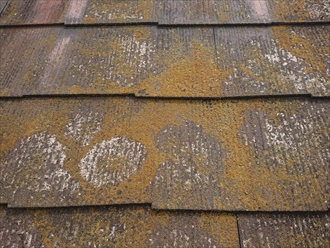 大和市代官にて築30年以上経過し一度も塗装工事を行っていない化粧スレート屋根は葺き替え工事が必要でした