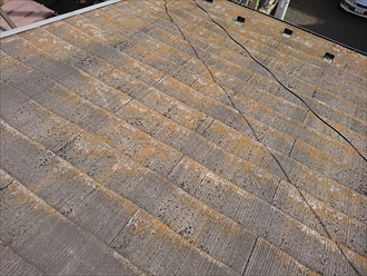 屋根全体が黄色くなるほど苔が生えていたら、防水性能が劣化していると考えましょう