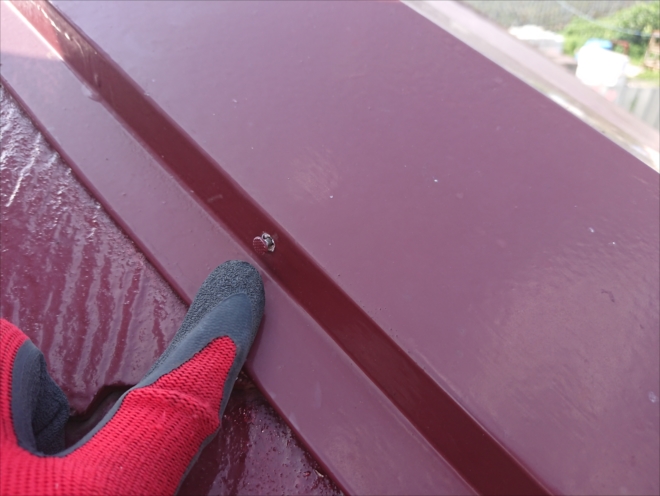 屋根をくまなく探しても、釘が浮いていたのは一か所のみ