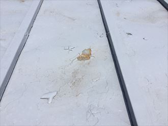 塗膜が剥がれたところから錆びが出始めている