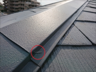 釘も屋根と同色で塗られているということは、塗装時になにも補強せずに塗っている証拠