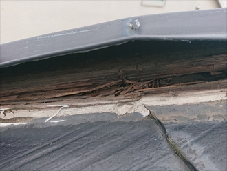 葉山町上山口にて雨水を吸いすぎた貫板（ぬきいた）が腐食し棟板金が飛散する寸前でした