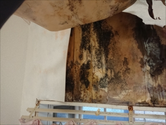 鎌倉市今泉にて室内への雨漏りの原因はトップライトとセメント瓦の経年劣化からでした