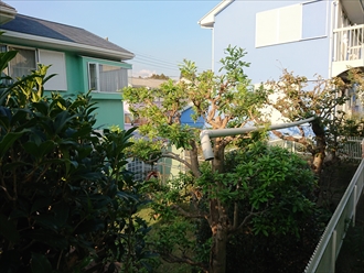 鎌倉市大町にて台風15号直撃の影響により這樋が外れお隣様の敷地に落下してしまっていました