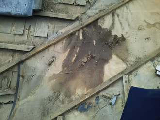 秦野市名古木　屋根の防水紙が劣化して破れている