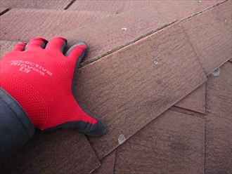 寒川町田端にてフリーリッジ納めの化粧スレートが使われた屋根、塗装でのメンテナンスをしていなかった結果内部が傷みすぎていました