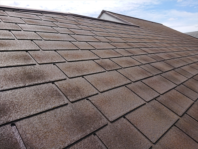 屋根表面に苔やカビなどの汚れが多い