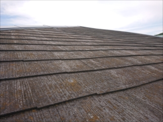 防水性能を失い雨水を捨ってしまいカビが繁殖し放題になってしまっている屋根