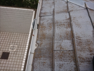 雨樋近くの軒先を確認