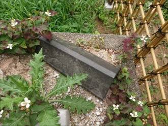 座間市栗原中央にて賃貸アパートの洋瓦屋根を調査、強風によりケラバ部分が敷地内に落下しておりました