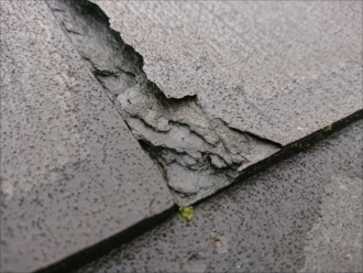 剥離している所に雨水がたまり苔や藻が繁殖している場合は防水性能も失われている証拠です