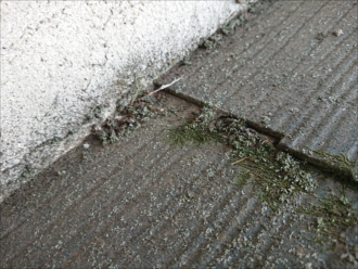 屋根表面が常に日が当たらず湿ってしまっている影響で苔や藻が多く繁殖してしまっていおり防水性能が消えかかっているのが確認