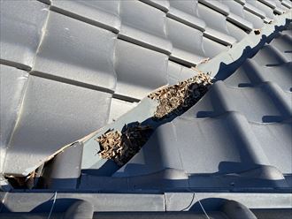 瓦屋根に枯葉