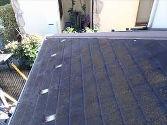 鎌倉市大船で化粧スレート屋根を調査、全体のカビや藻は劣化のサインです