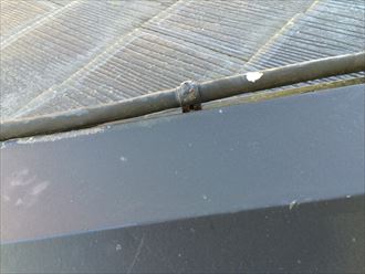 棟板金を固定している釘に配線の留め具が付いている