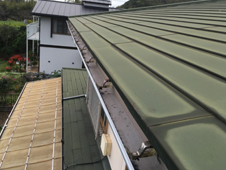 強風後の雨樋点検