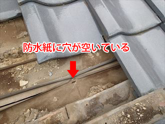 防水紙に穴が空いている