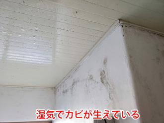湿気でカビが生える