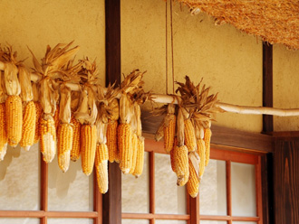 茅葺き屋根の大きな小屋裏は物置や作業小屋として使われる