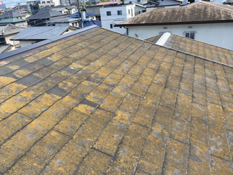 屋根塗装　苔が生えた屋根