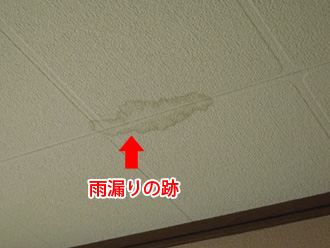 天井の雨漏り跡