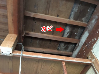 小屋裏の湿気でカビが発生