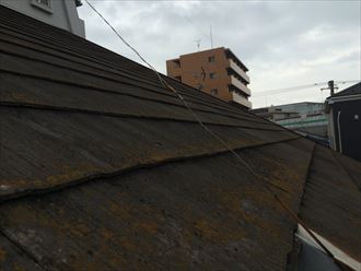 川崎市川崎区池上新町のお住まいで台風１９号被害による棟板金飛散と屋根材スレートの塗装剥がれ、ひび割れが発生していました