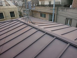 横浜市港北区日吉本町の瓦棒葺きの屋根のお住まいでは、棟板金に釘の抜けや、シーリングの劣化がありました
