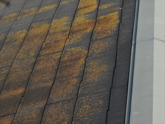 横浜市金沢区長浜でスレート屋根の点検、棟板金の浮きとスレートの劣化が確認されました