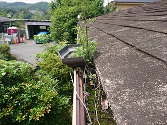 雨樋が詰まっています