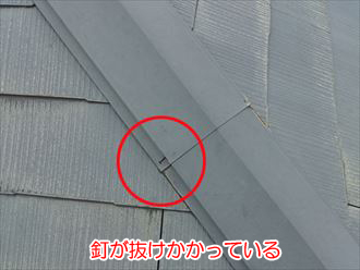 棟板金の釘が抜けかかっている