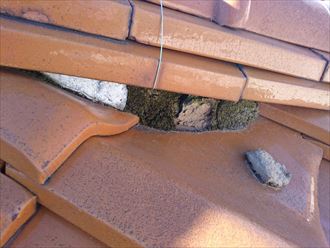 漆喰の剥がれた箇所に苔が繁殖した瓦屋根の棟