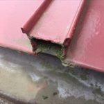 ここから雨水が侵入します