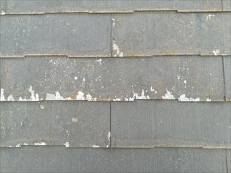 層間剥離が発生し、表面が剥がれたパミール