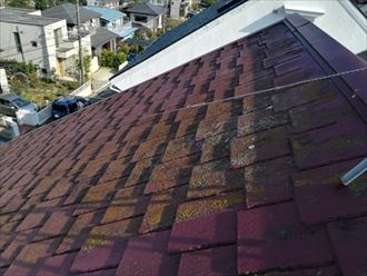 藻や汚れの目立つアーバニーのスレート屋根