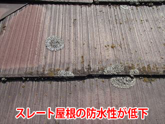 防水性が低下し、カビや苔が生えたスレート