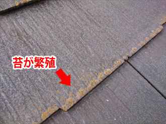 茅ヶ崎市赤羽根にてスレート屋根を調査、屋根材には塗装ができないコロニアルNEOが使用されていました